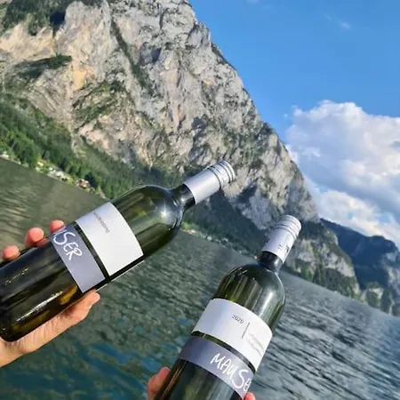 Lejlighed Traunsee Altmünster