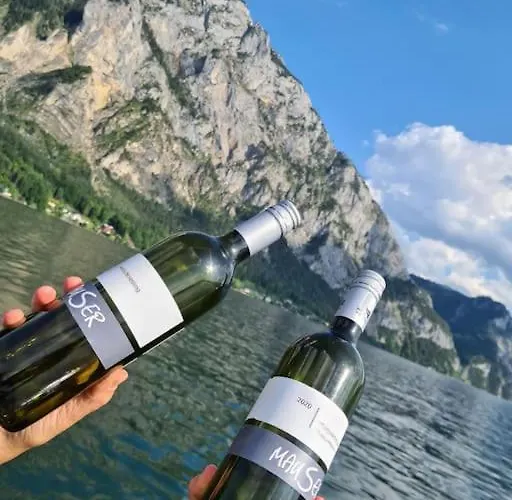 Daire Traunsee Altmünster